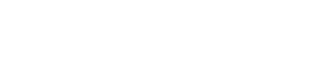NEO SabersTM